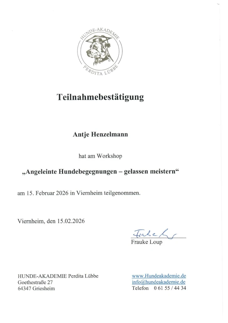 Fellnasen-Coaches Hundeschule Pirmasens